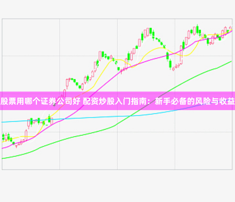 股票用哪个证券公司好 配资炒股入门指南：新手必备的风险与收益